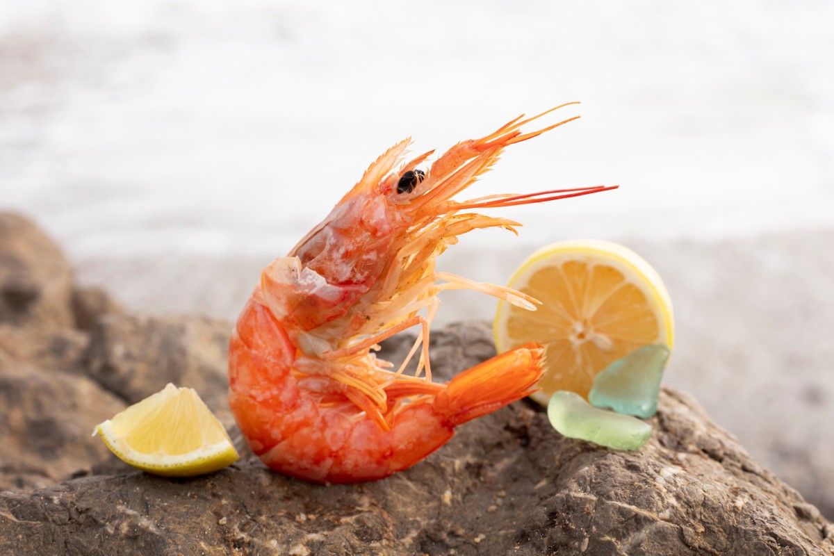 Read more about the article Sugar-Free and Sweet: Enjoy the Flavor Without the Guilt